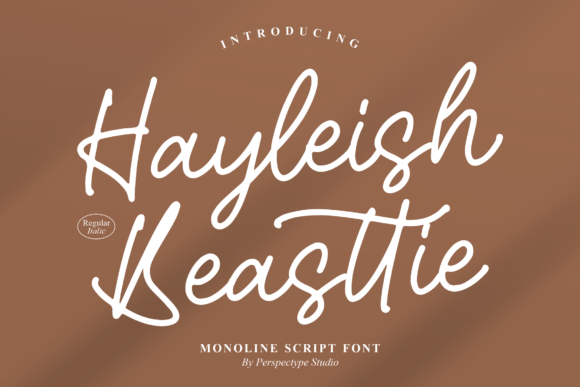 Elevate Your Brand with the Hayleish Beasttie Typeface