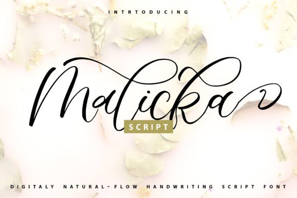 Malicka: A Sweet Script Typeface for Branding Projects