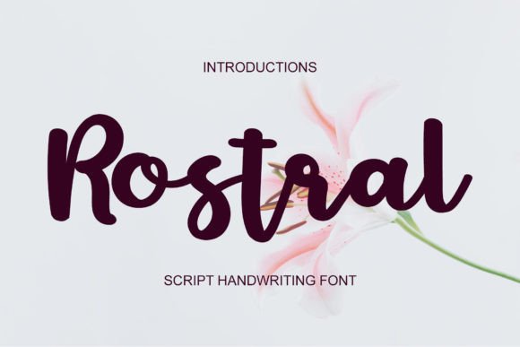 Rostral: A Modern Handwritten Font for Editorial Design