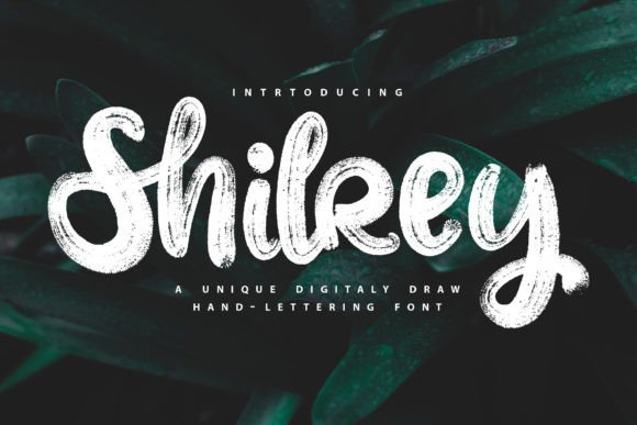 Shilrey: A Modern Handwritten Font for Your Brand